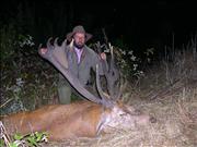 ciervos 2007 013